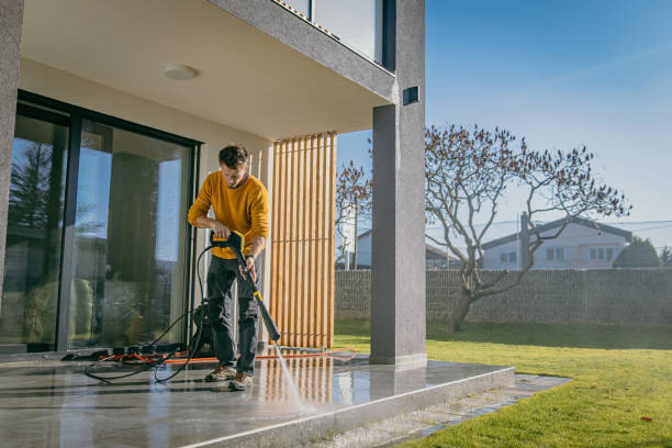 Best Driveway Pressure Washing  in Port Huron, MI